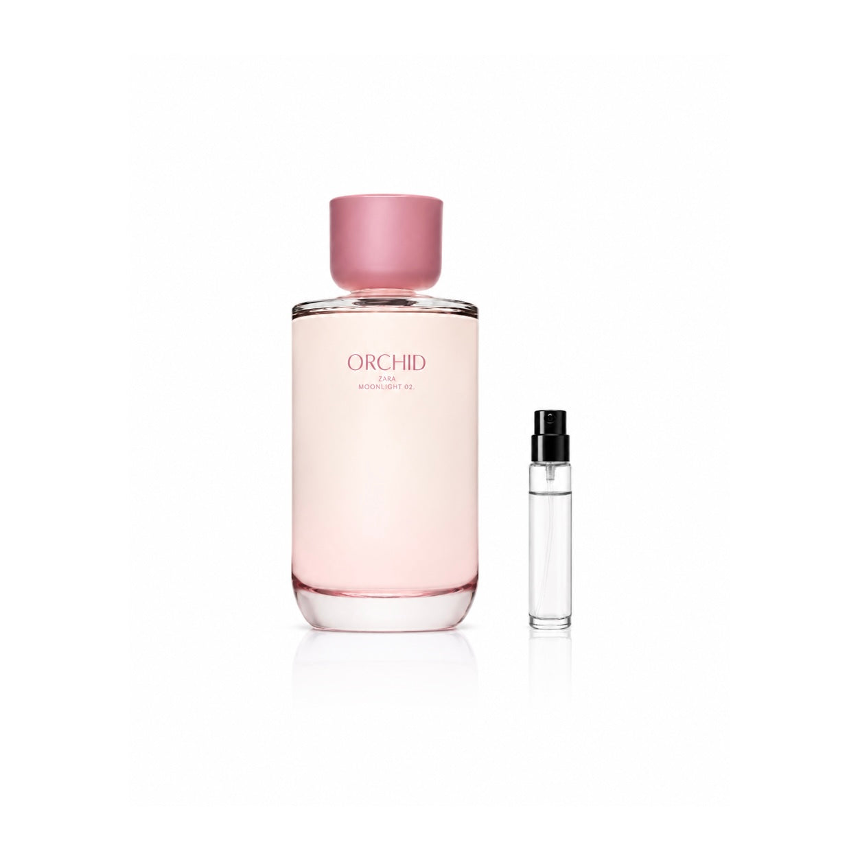 Zara Orchid