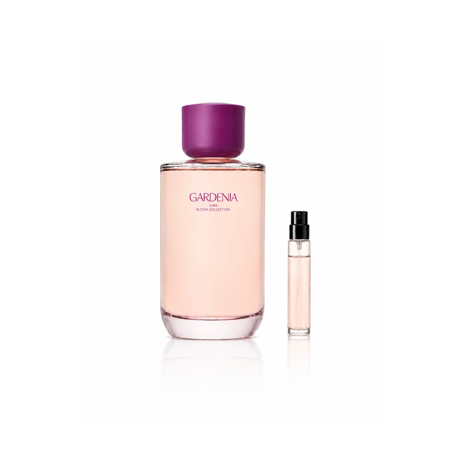 Zara Gardenia